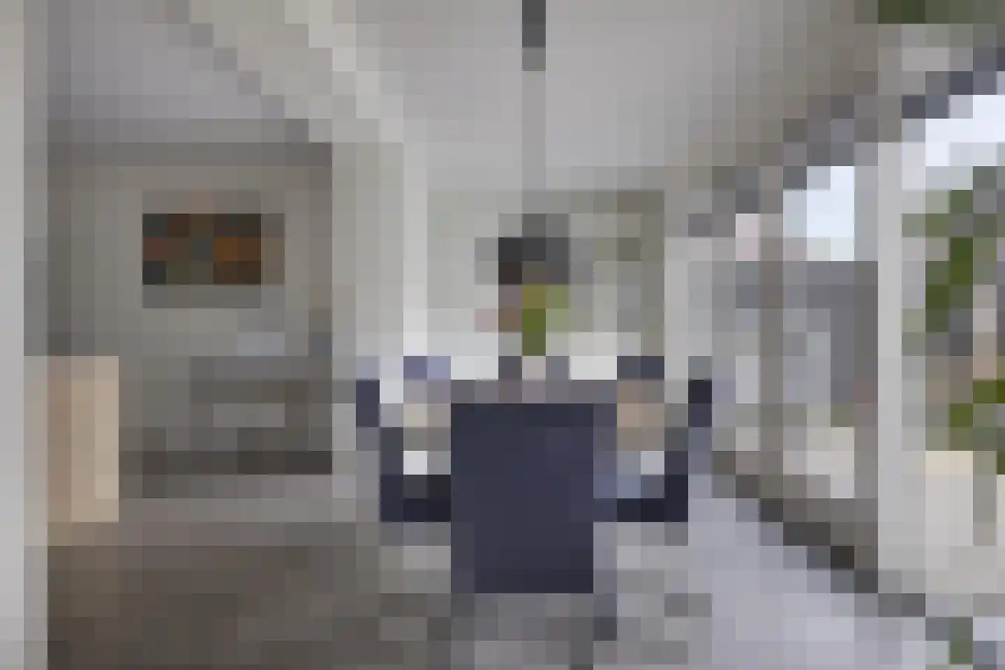 Nieuwe Land 14 Kampen thumbnail 12