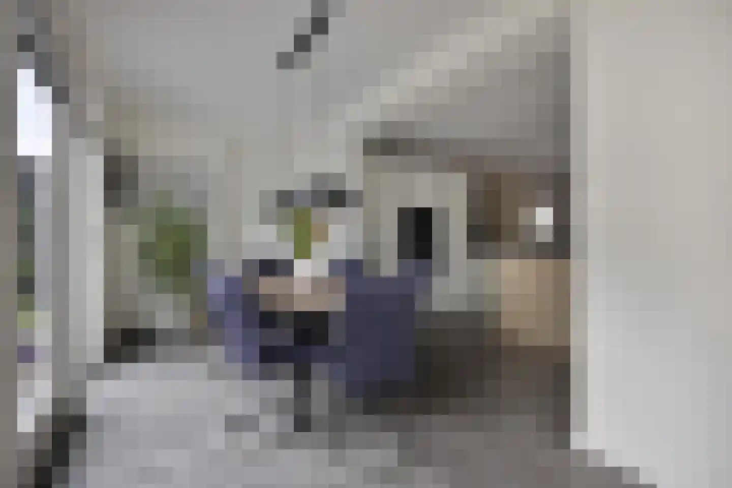 Nieuwe Land 14 Kampen thumbnail 13