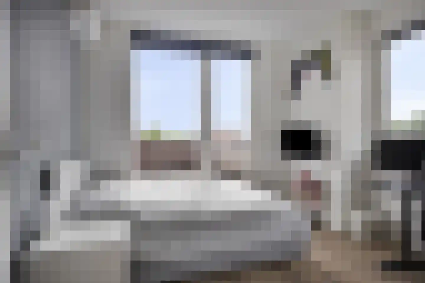 Nieuwe Land 14 Kampen thumbnail 29