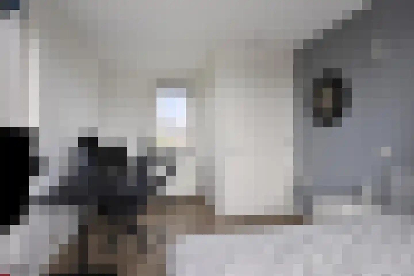 Nieuwe Land 14 Kampen thumbnail 30