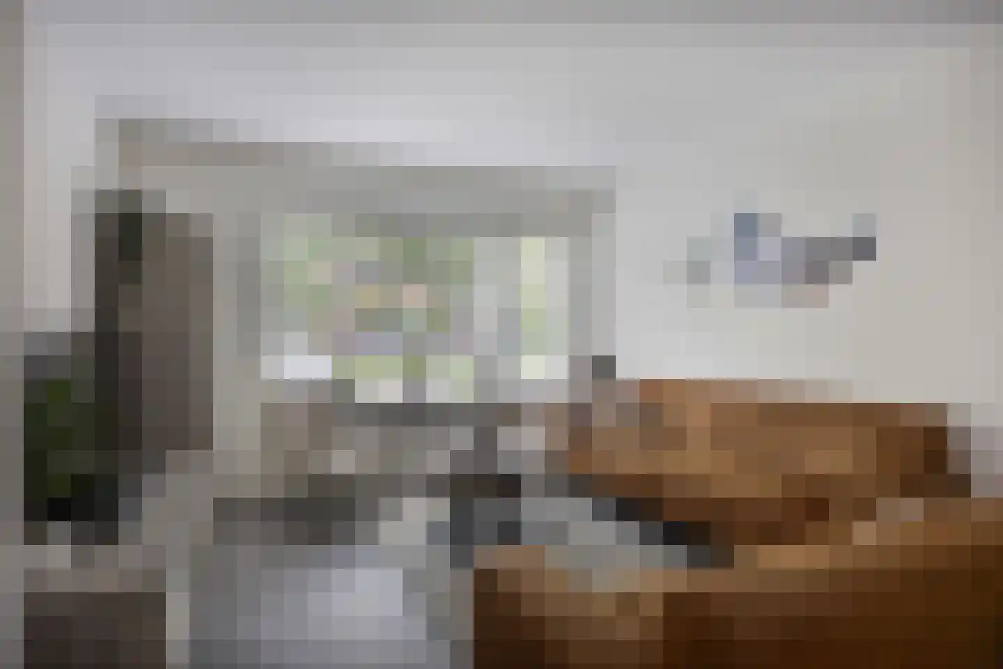Nieuwe Land 14 Kampen thumbnail 4