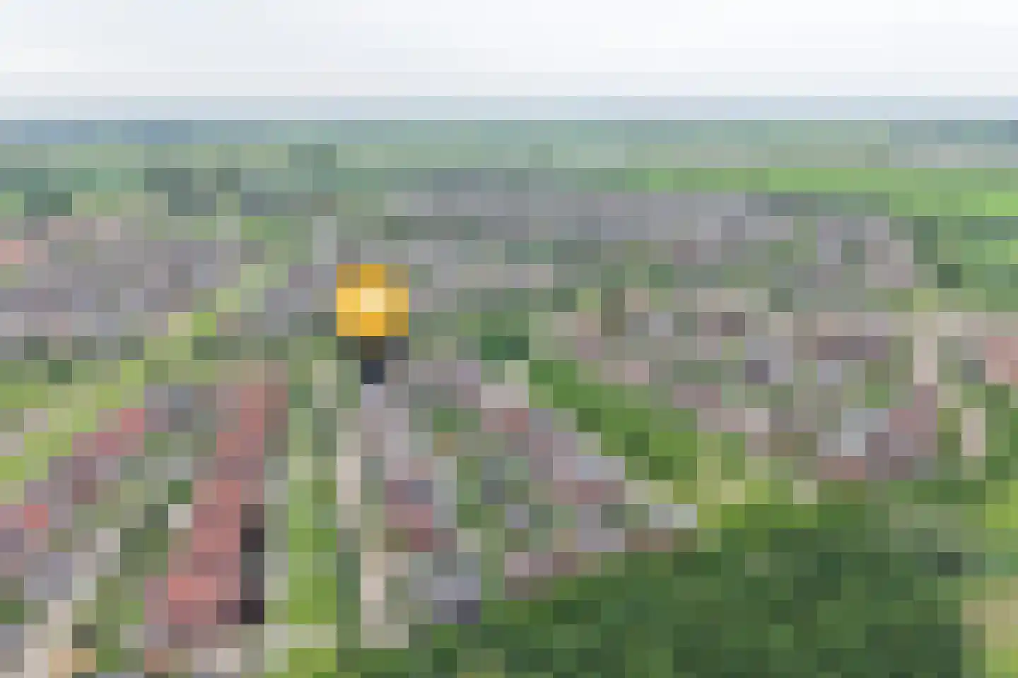 Nieuwe Land 14 Kampen thumbnail 40