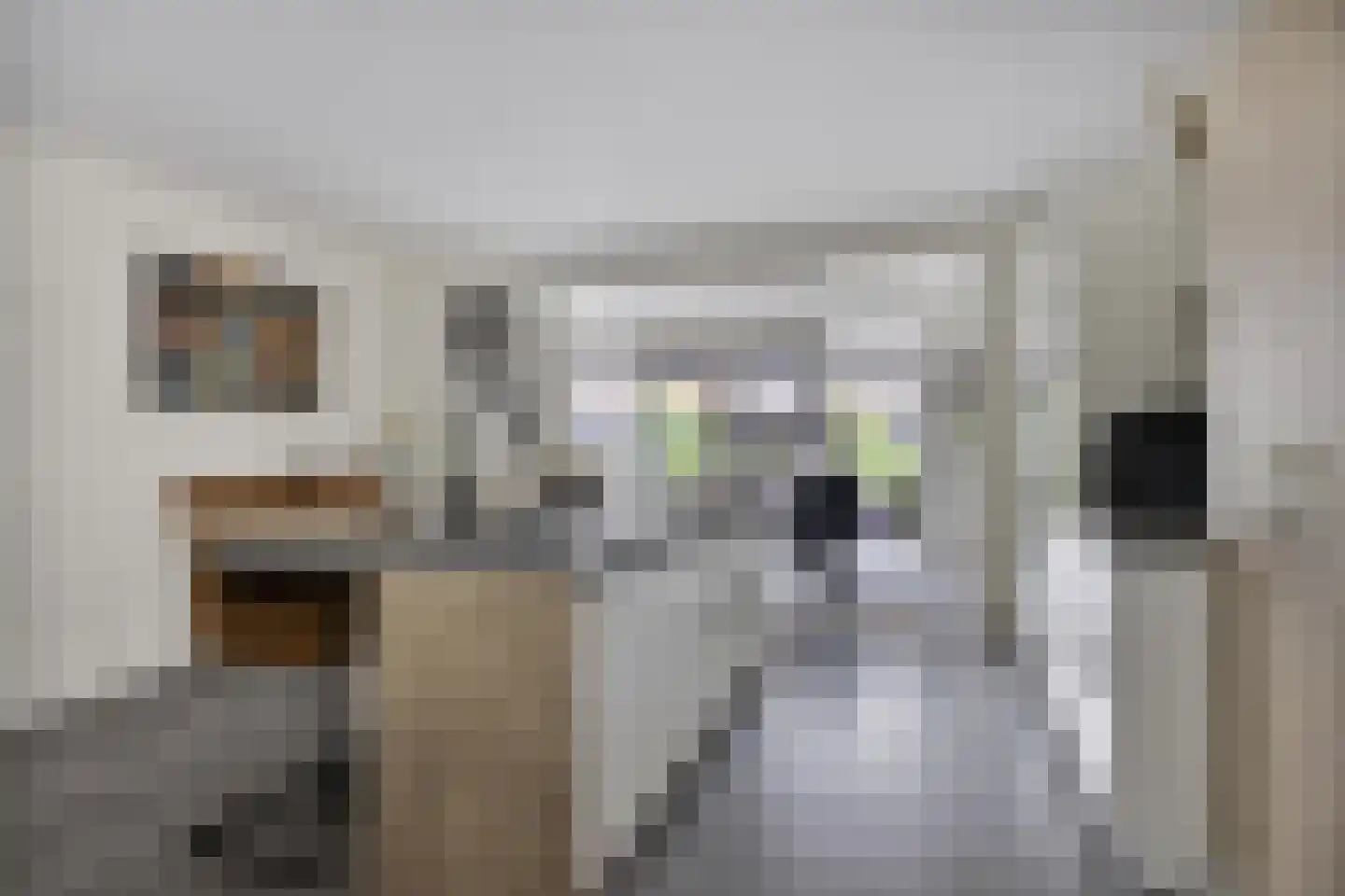 Nieuwe Land 14 Kampen thumbnail 6