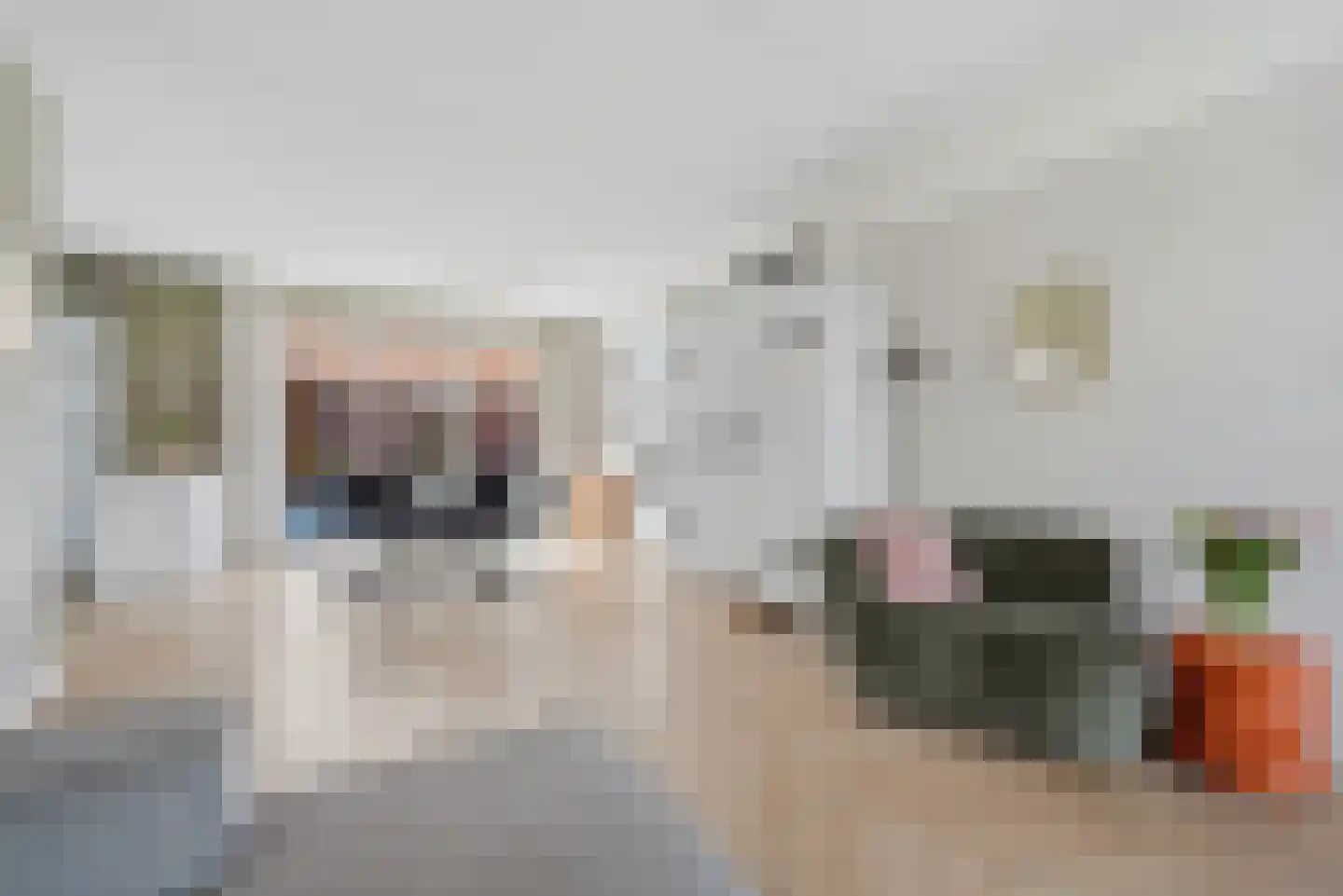 Nieuwe Land 18 Zoutelande thumbnail 11