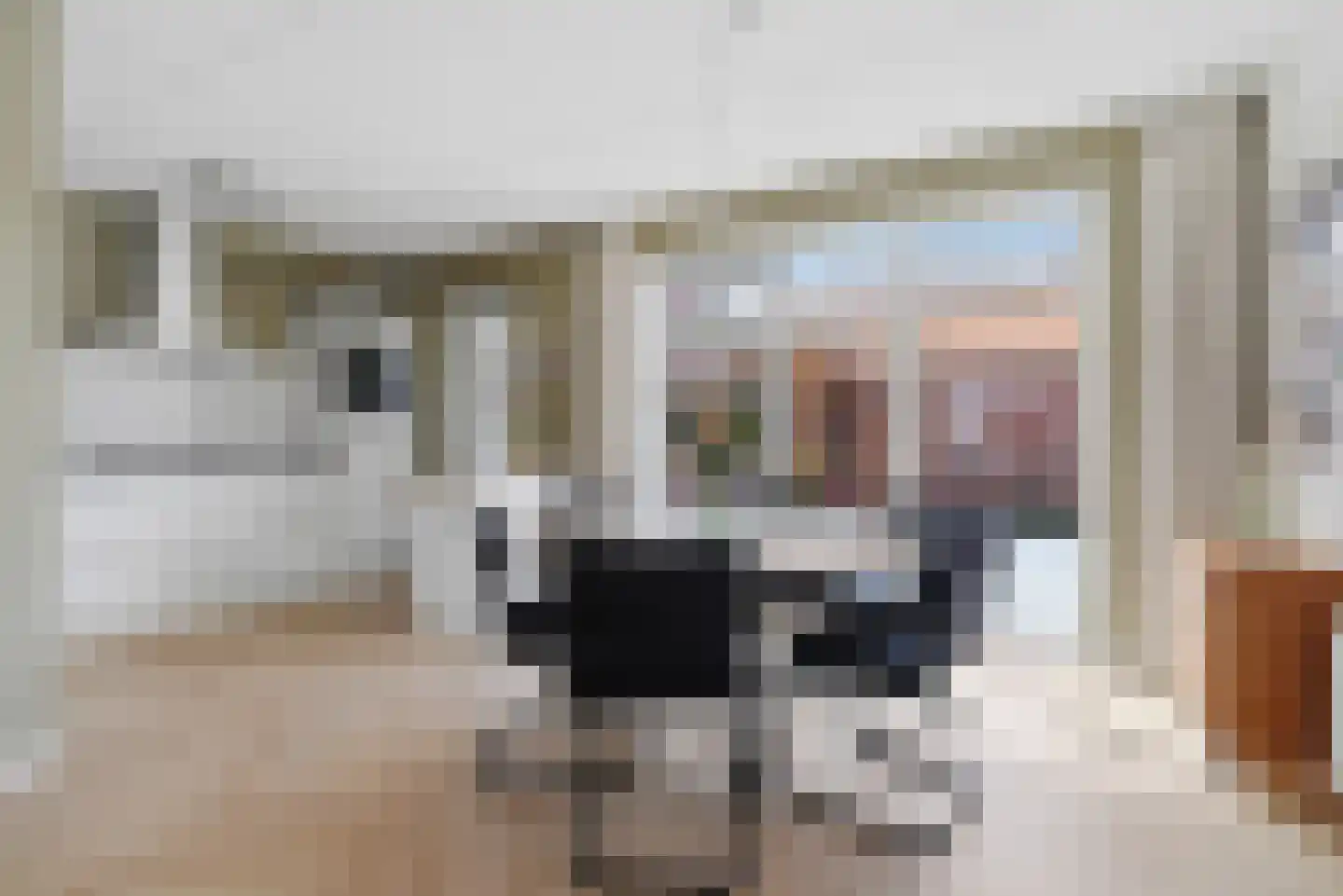 Nieuwe Land 18 Zoutelande thumbnail 12