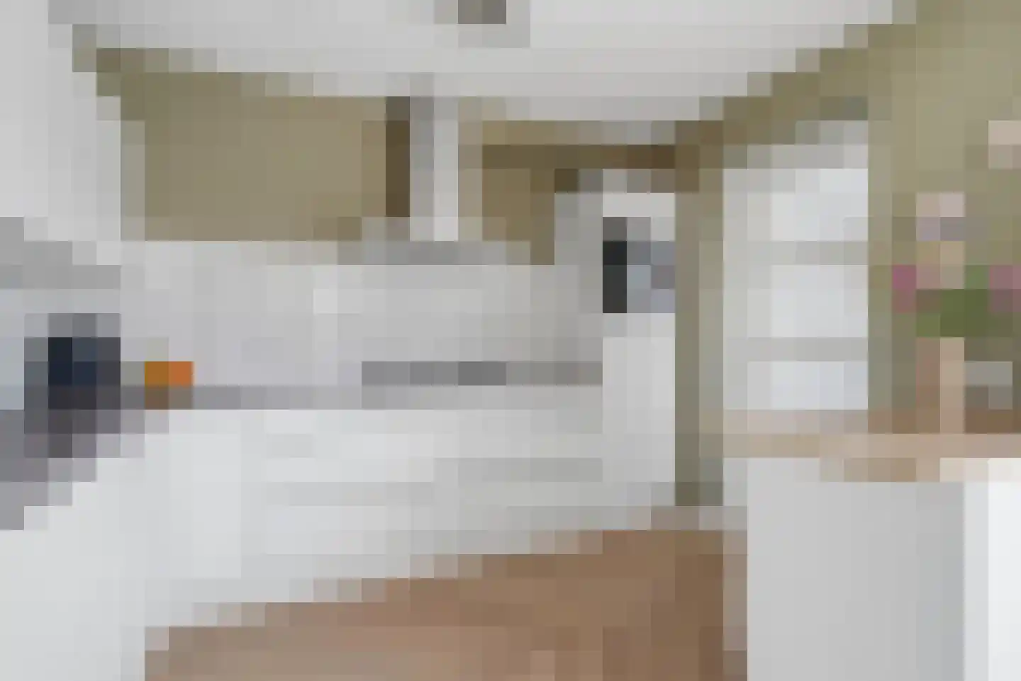Nieuwe Land 18 Zoutelande thumbnail 13
