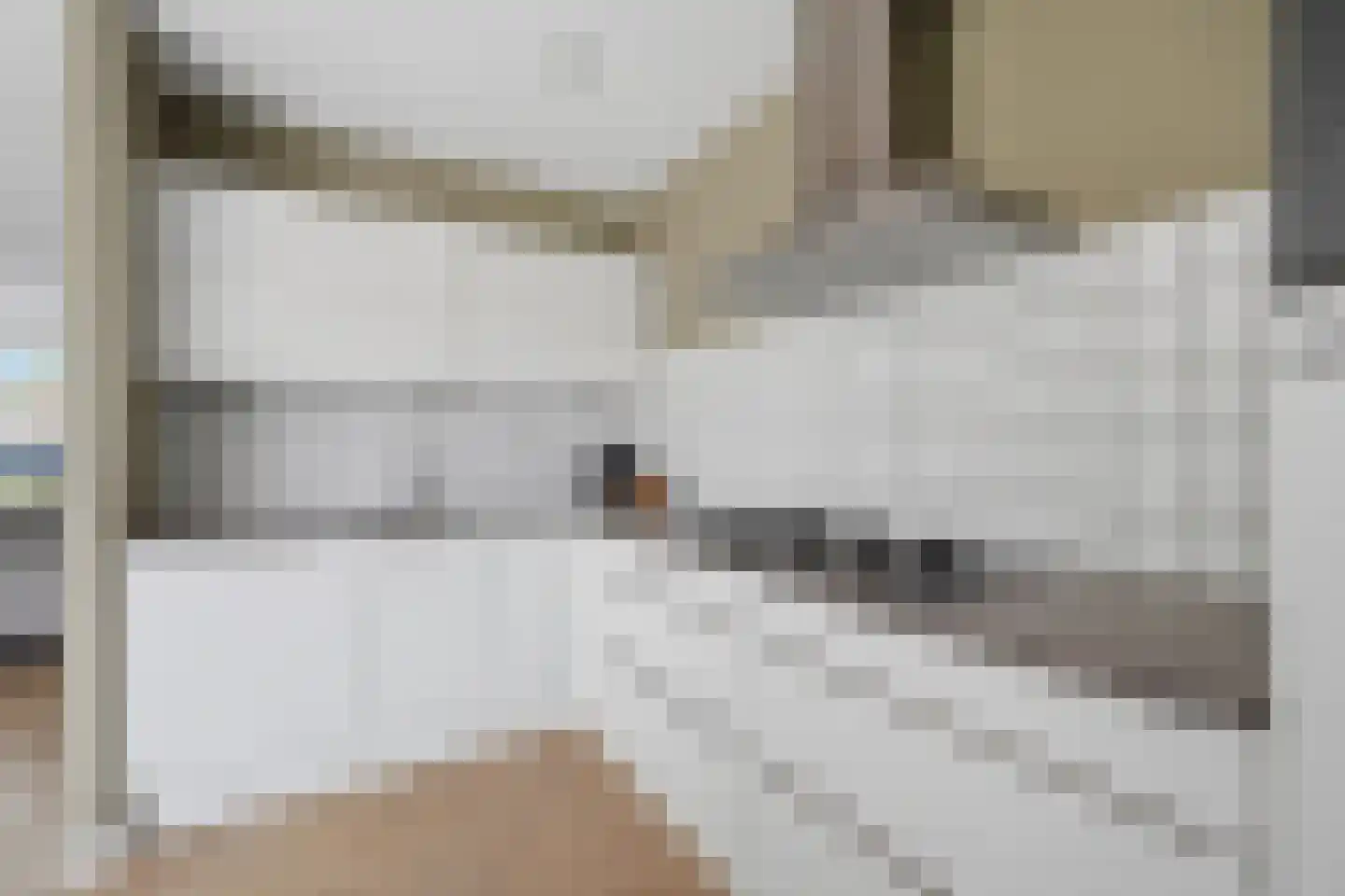 Nieuwe Land 18 Zoutelande thumbnail 14