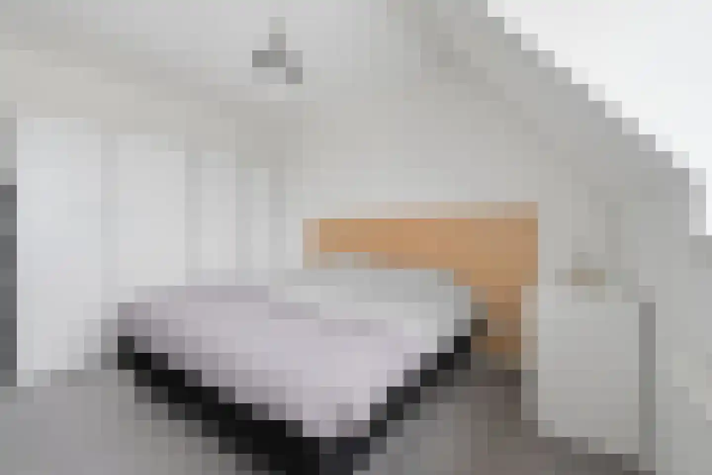 Nieuwe Land 18 Zoutelande thumbnail 22