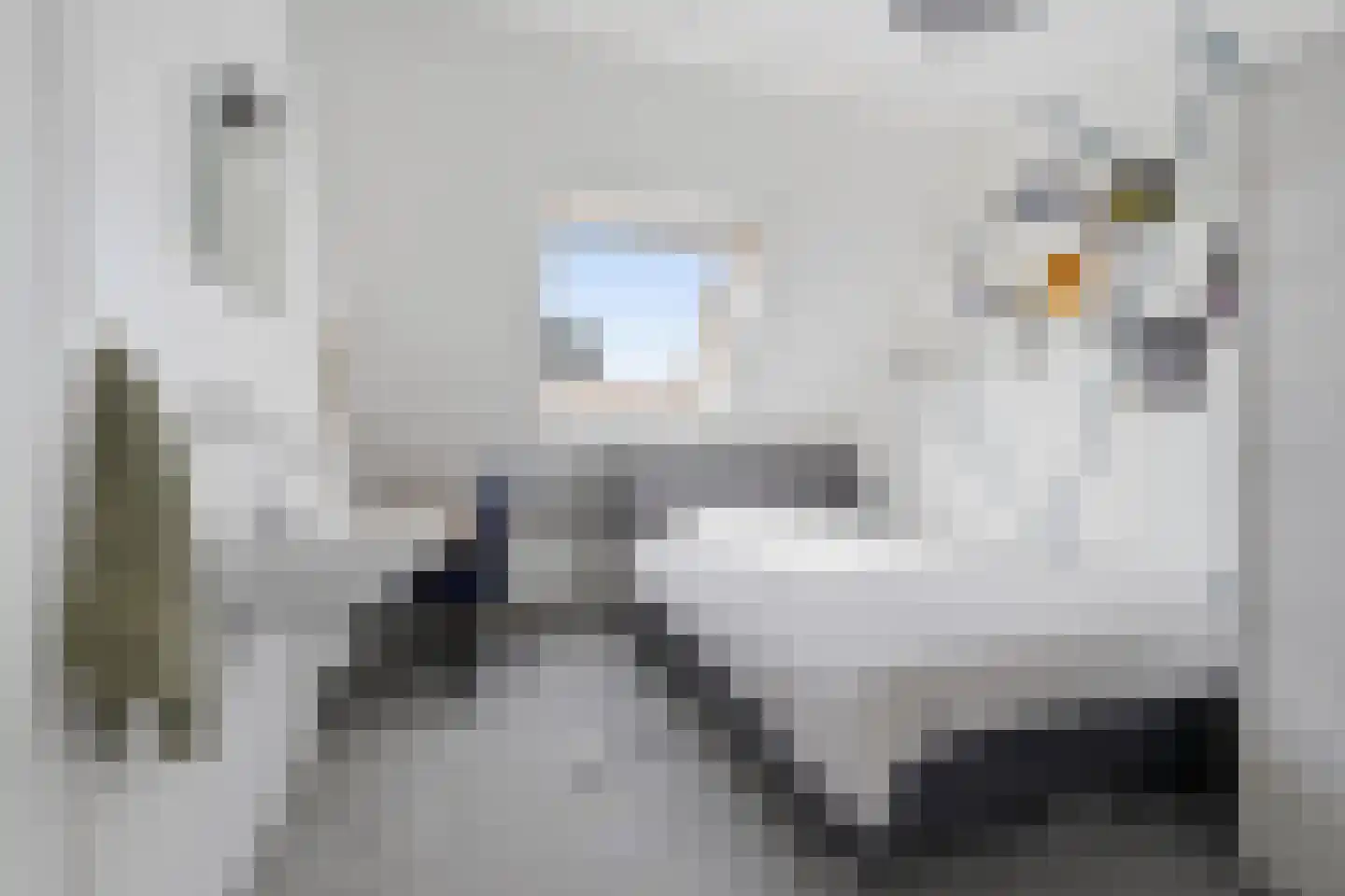 Nieuwe Land 18 Zoutelande thumbnail 24