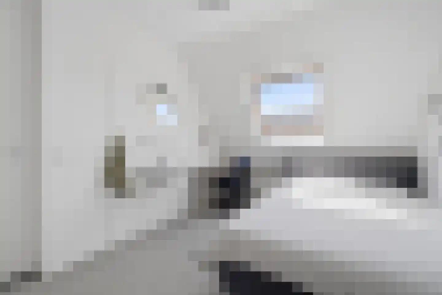 Nieuwe Land 18 Zoutelande thumbnail 25
