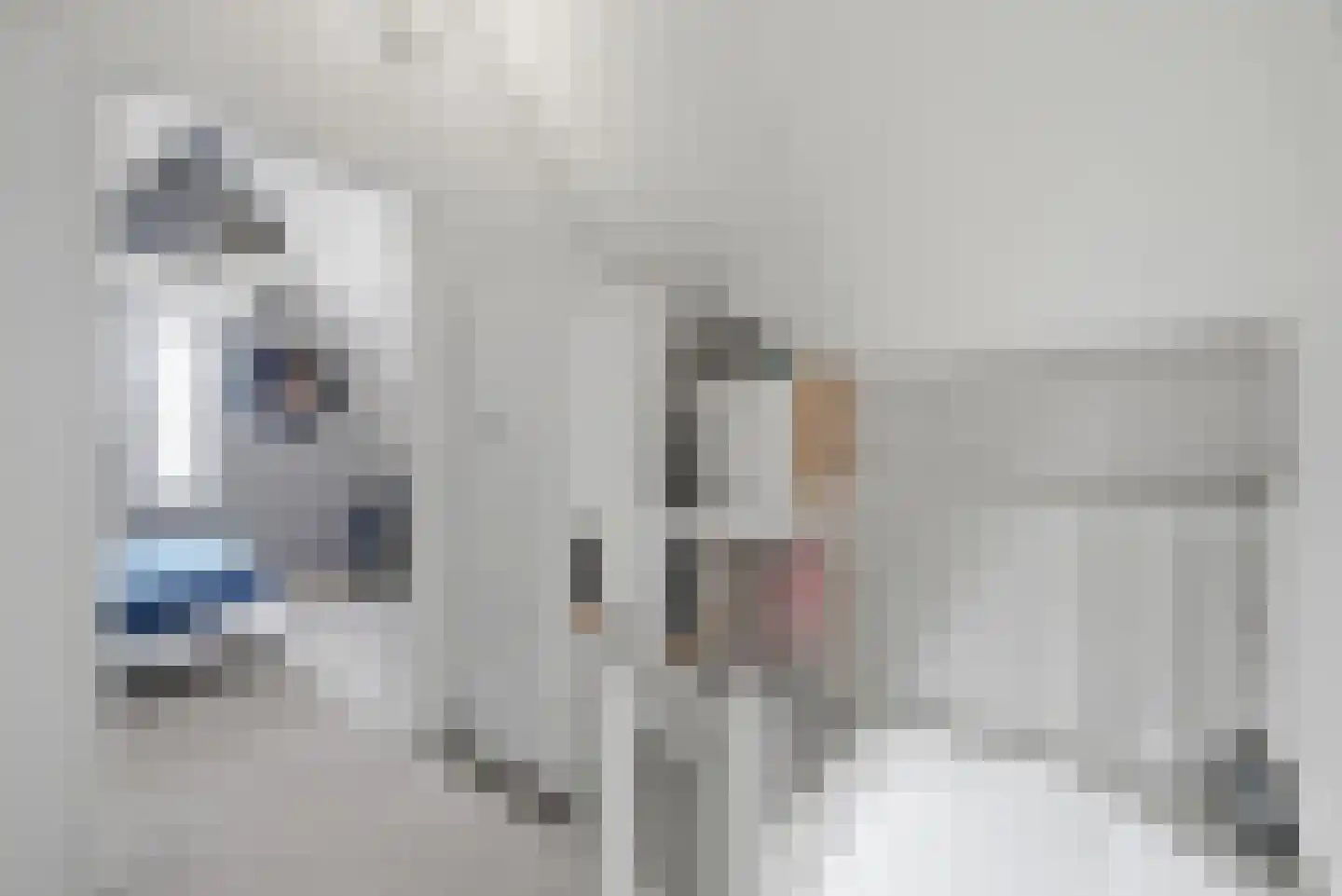 Nieuwe Land 18 Zoutelande thumbnail 29