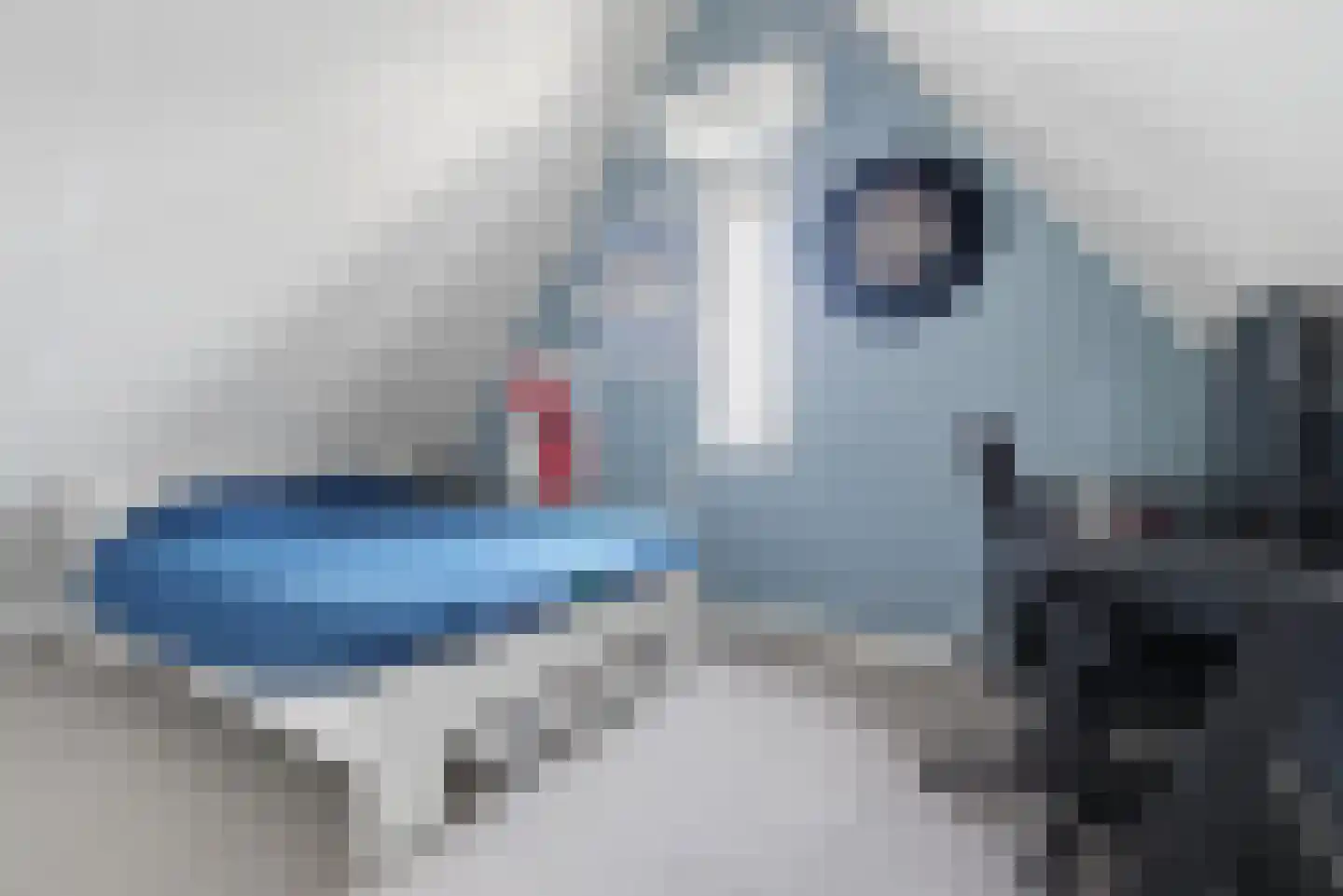 Nieuwe Land 18 Zoutelande thumbnail 30