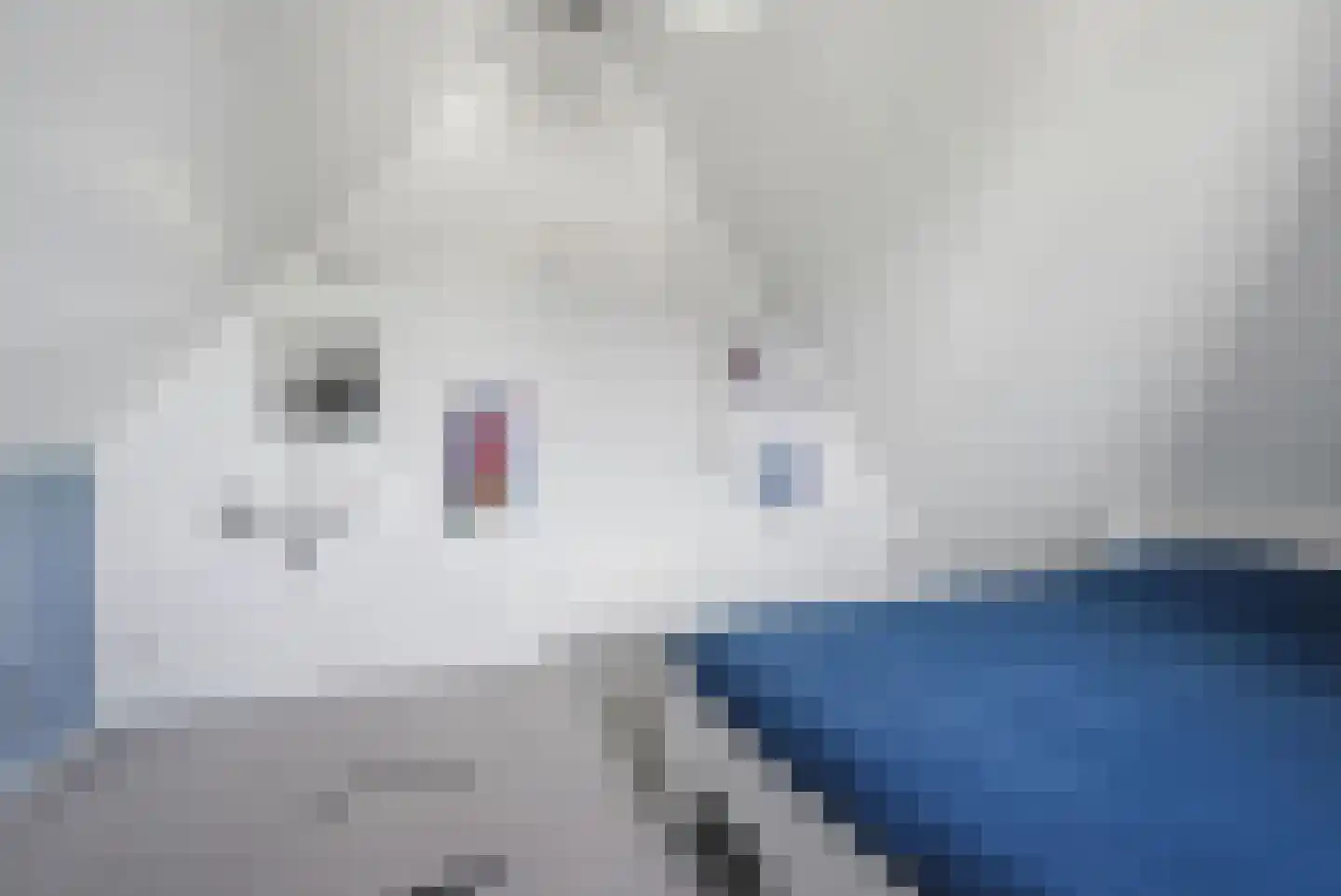 Nieuwe Land 18 Zoutelande thumbnail 32