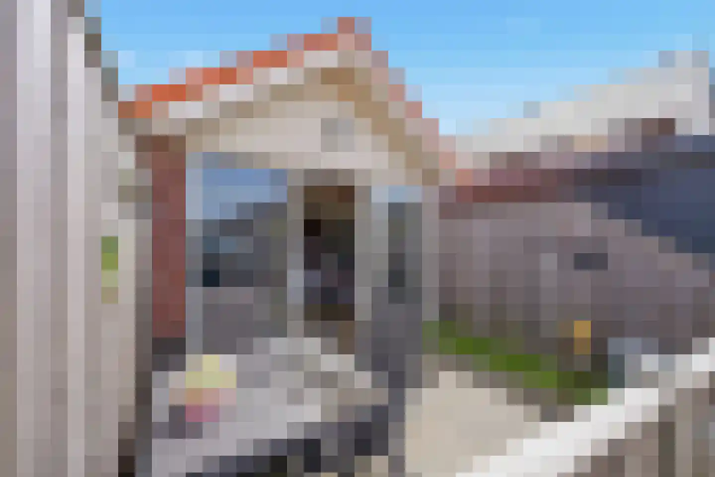 Nieuwe Land 18 Zoutelande thumbnail 37
