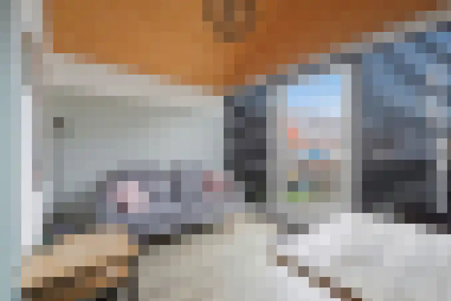 Nieuwe Land 18 Zoutelande thumbnail 39