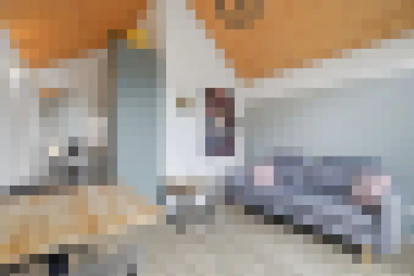 Nieuwe Land 18 Zoutelande thumbnail 40
