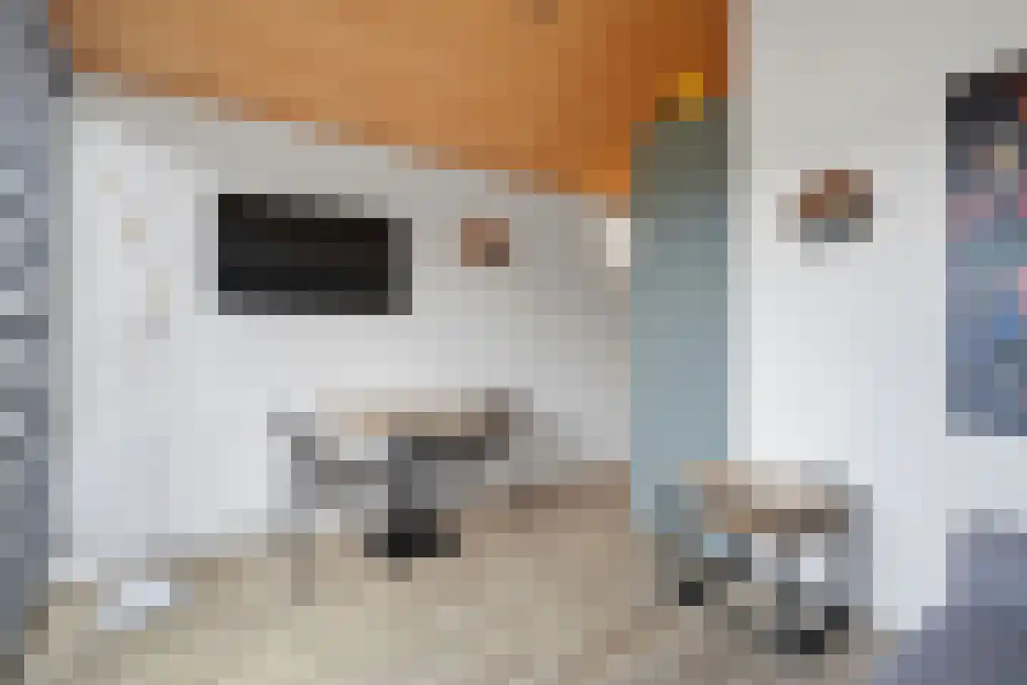 Nieuwe Land 18 Zoutelande thumbnail 41
