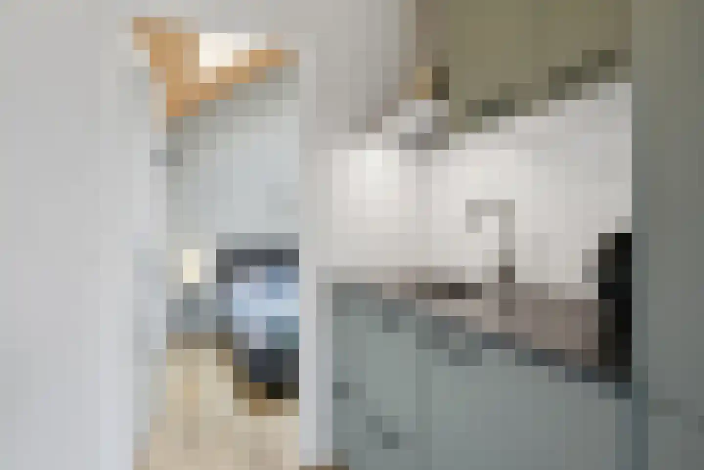 Nieuwe Land 18 Zoutelande thumbnail 42