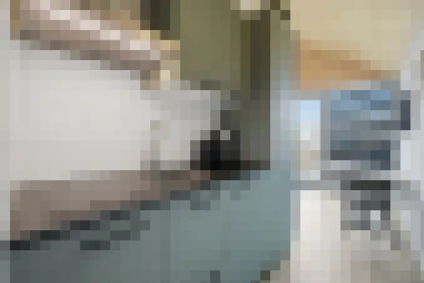 Nieuwe Land 18 Zoutelande thumbnail 43
