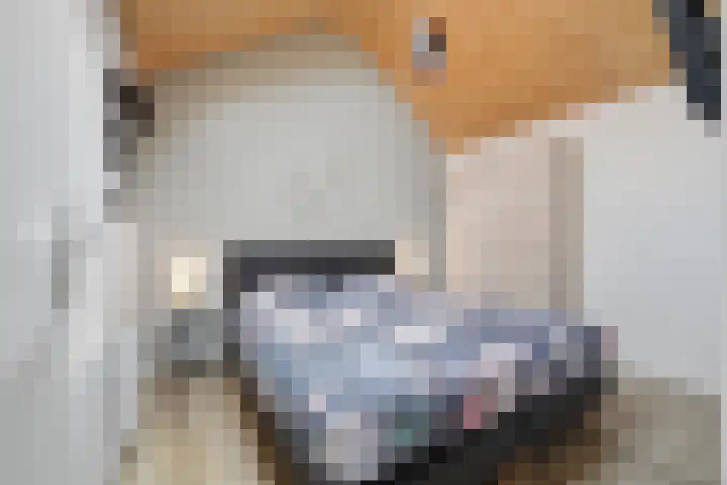 Nieuwe Land 18 Zoutelande thumbnail 44