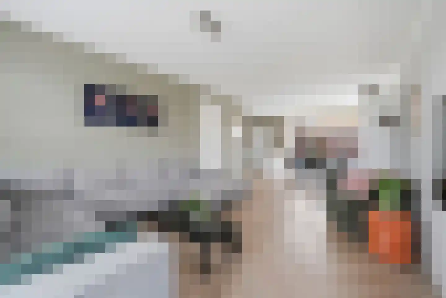 Nieuwe Land 18 Zoutelande thumbnail 9