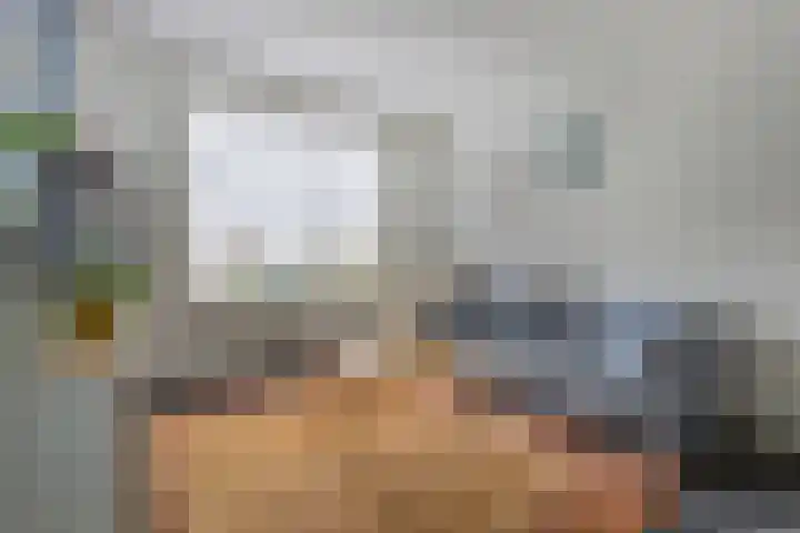 Nieuwe Land 20 Zoutelande thumbnail 11