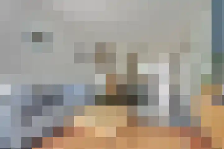 Nieuwe Land 20 Zoutelande thumbnail 12