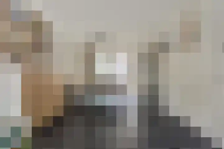 Nieuwe Land 20 Zoutelande thumbnail 16