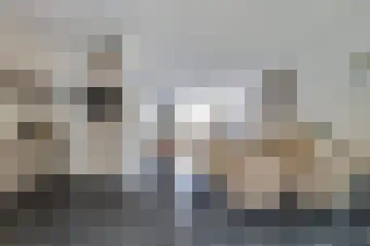 Nieuwe Land 20 Zoutelande thumbnail 18