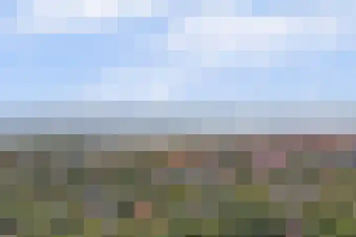 Nieuwe Land 20 Zoutelande foto 2