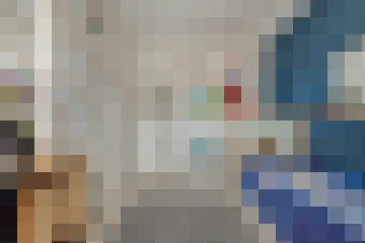Nieuwe Land 20 Zoutelande thumbnail 20