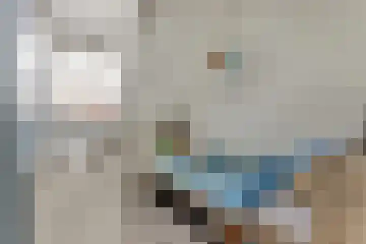 Nieuwe Land 20 Zoutelande thumbnail 21