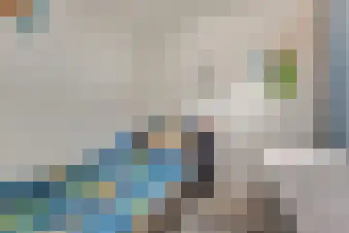 Nieuwe Land 20 Zoutelande thumbnail 22