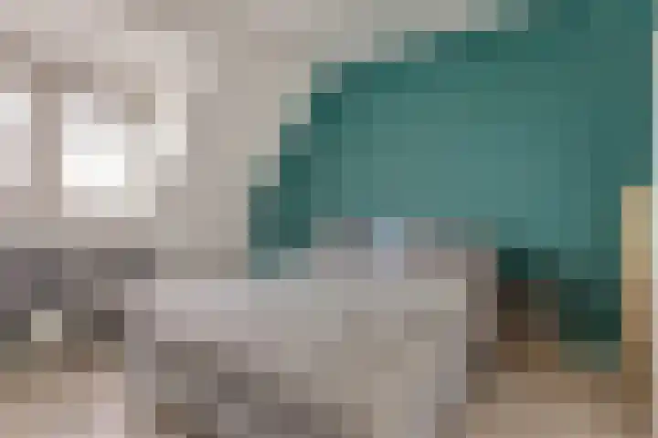 Nieuwe Land 20 Zoutelande thumbnail 23