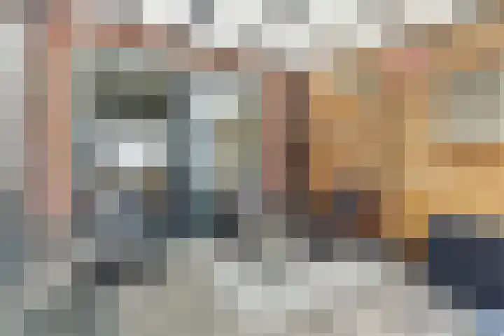 Nieuwe Land 20 Zoutelande thumbnail 29