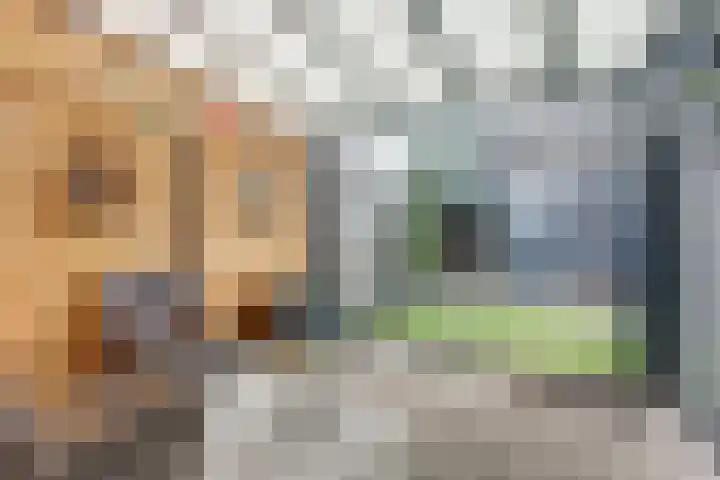 Nieuwe Land 20 Zoutelande thumbnail 30