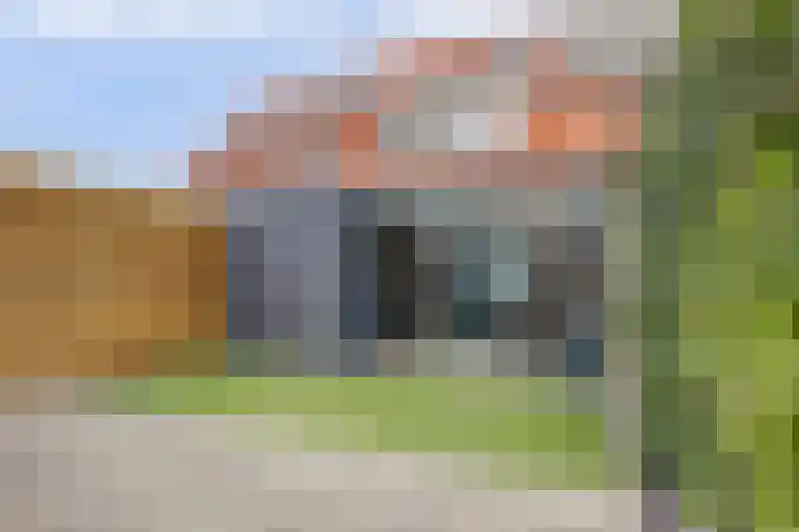 Nieuwe Land 20 Zoutelande thumbnail 32