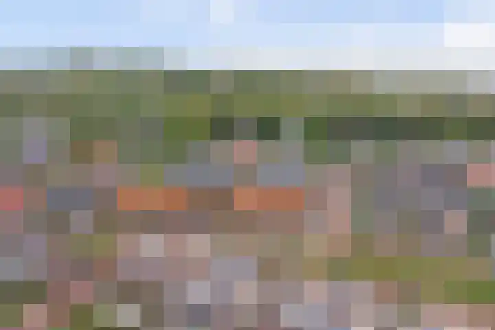 Nieuwe Land 20 Zoutelande thumbnail 35