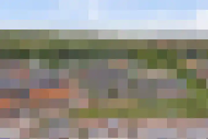 Nieuwe Land 20 Zoutelande thumbnail 36