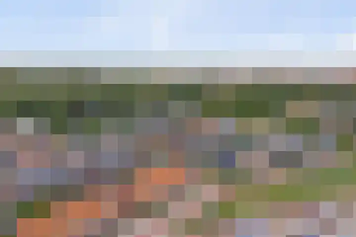 Nieuwe Land 20 Zoutelande thumbnail 37
