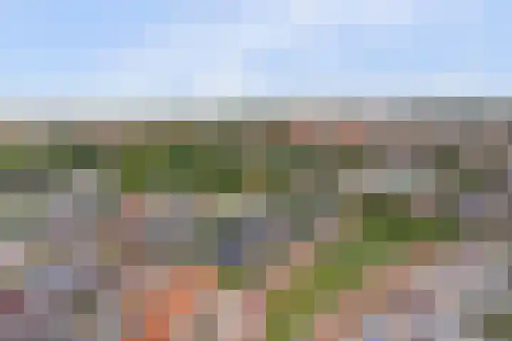 Nieuwe Land 20 Zoutelande thumbnail 38