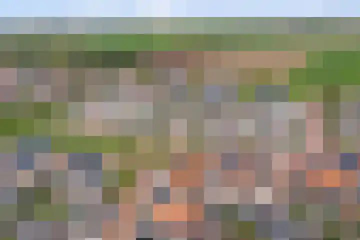 Nieuwe Land 20 Zoutelande thumbnail 39