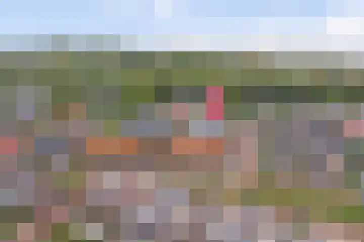 Nieuwe Land 20 Zoutelande thumbnail 4