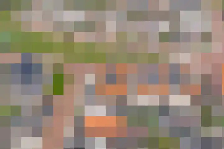 Nieuwe Land 20 Zoutelande thumbnail 40