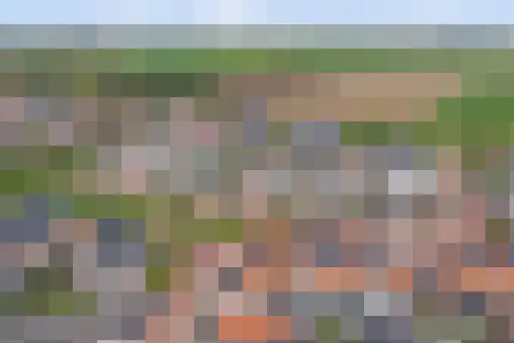Nieuwe Land 20 Zoutelande thumbnail 41
