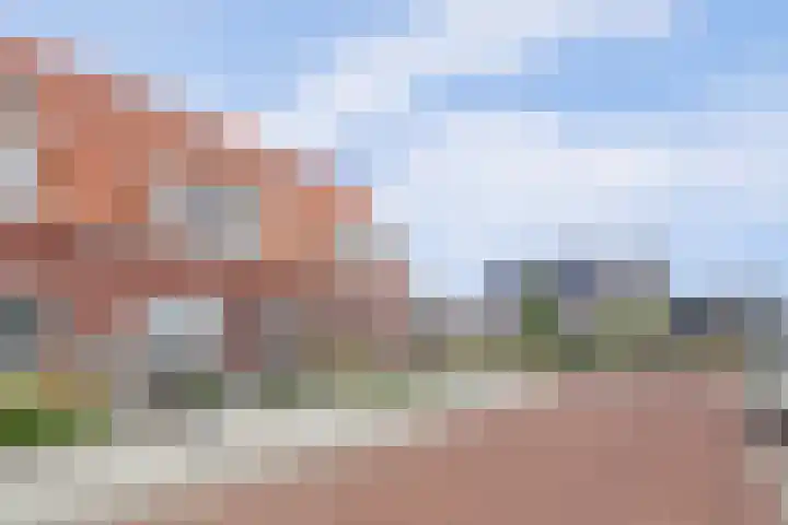 Nieuwe Land 20 Zoutelande thumbnail 5