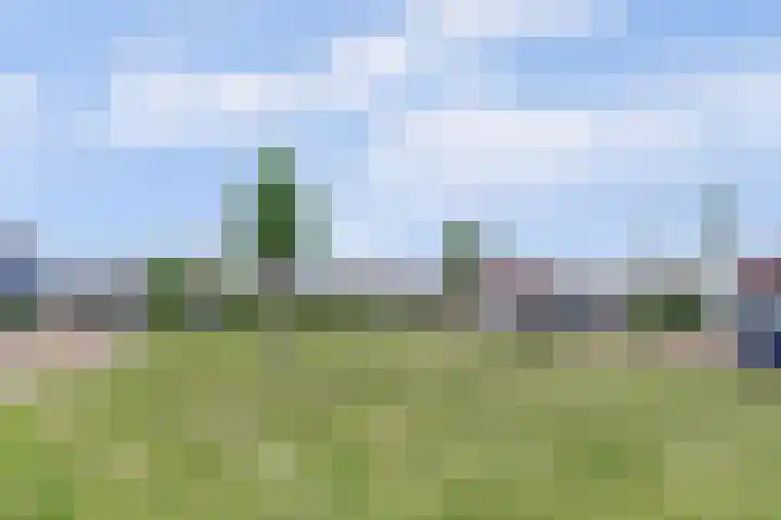 Nieuwe Land 20 Zoutelande thumbnail 7