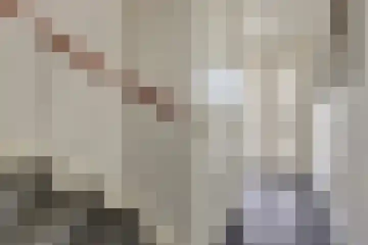 Nieuwe Land 20 Zoutelande thumbnail 8