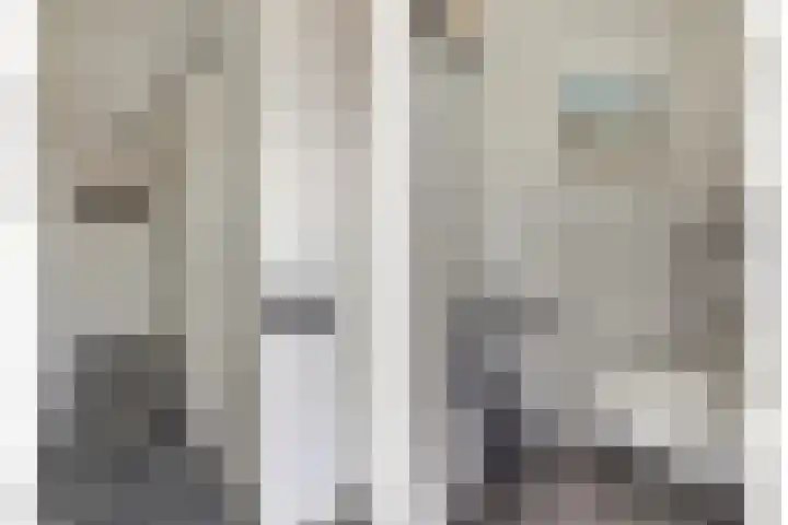 Nieuwe Land 20 Zoutelande thumbnail 9