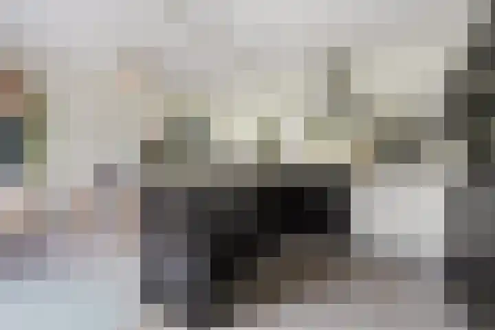 Nieuwe Land 30 Zoutelande thumbnail 10